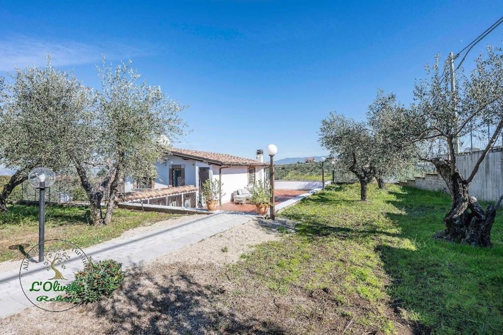 Oliveto Relax Turistico Appartamento Roma